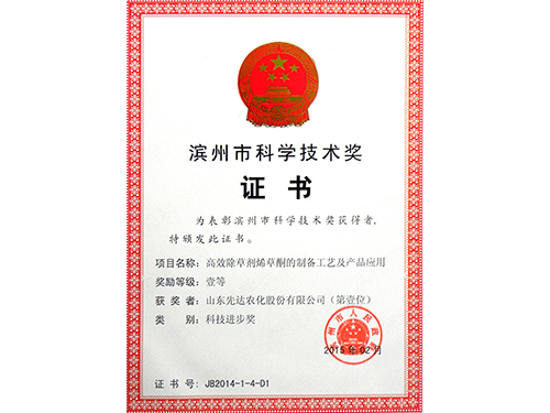滨州市迷信手艺奖证书