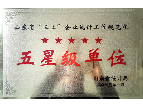 统计局五星级单元