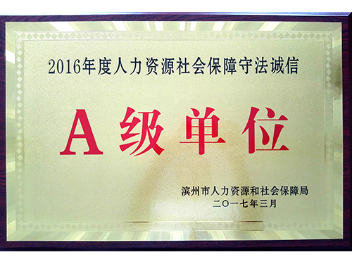 17年人力资本A级单元