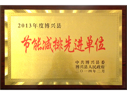 2013年度博兴县节能减排进步前辈单元