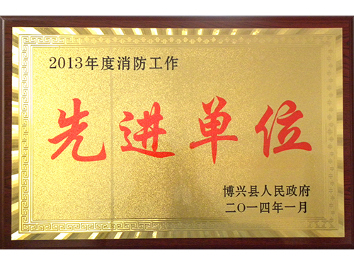 2013年度消防任务进步前辈单元