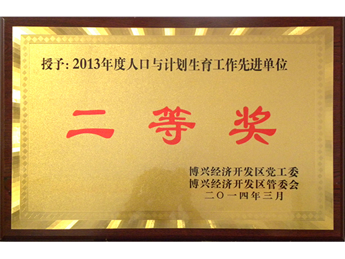 2013年度生齿与打算生养任务进步前辈单元二等奖
