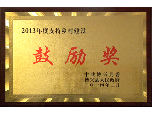 2013年度撑持村落扶植鼓动勉励奖