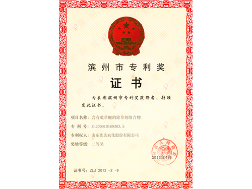 滨州市手艺奖