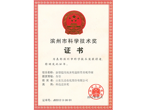 滨州市迷信手艺奖